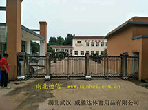 湖北武汉威驰达体育用品有限公司-雄狮