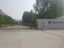 黑龙省大庆市中央储备粮大庆直属库安宝T-D