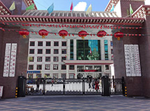 八宿县人民政府-开泰LH